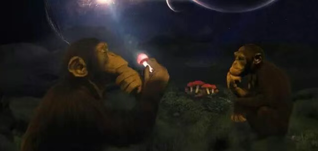 Stoned Ape Theory.png