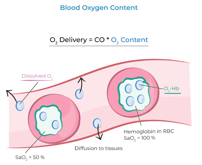 dissovled oxygen and combined oxygen.png